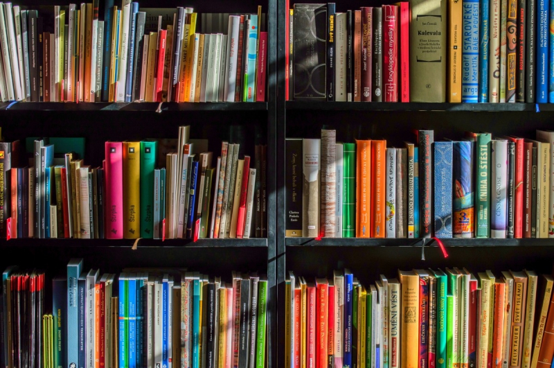 magasin-SOLLIES VILLE-min_books_bookstore_book_reading_shop_writer_sale_books_read-822866
